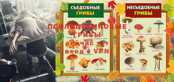 spice Бугульма
