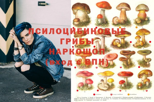 наркотики Бородино
